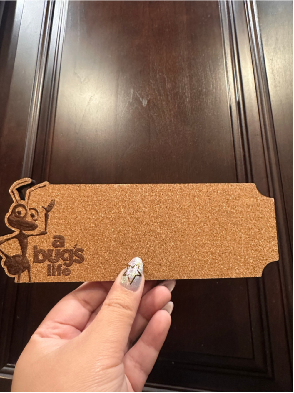 Flik A Bug's Life Cork Magnetized Pin Board
